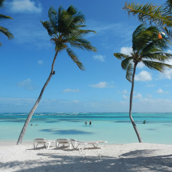 ¡Año Nuevo sin preocupaciones en Punta Cana! ¡Año Nuevo sin preocupaciones en Punta Cana!