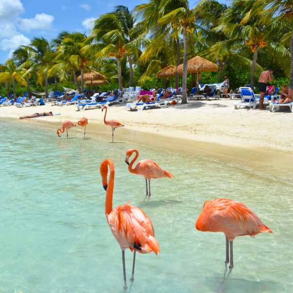 ¡Aruba & Panamá: Dos paraísos en un solo viaje! ¡Aruba & Panamá: Dos paraísos en un solo viaje!