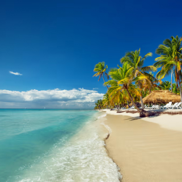 ¡República Dominicana All In! ¡República Dominicana All In!