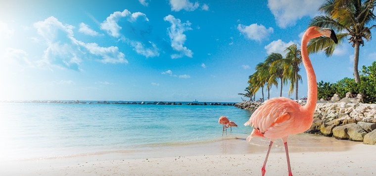 ¡Aruba te invita a descubrir sus playas de ensueño!