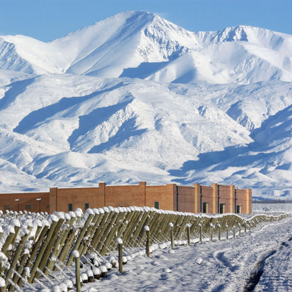 ¡Invierno en Mendoza!