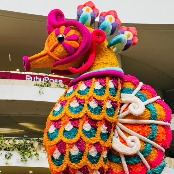 ¡Medellín florece y tenés que estar ahí!