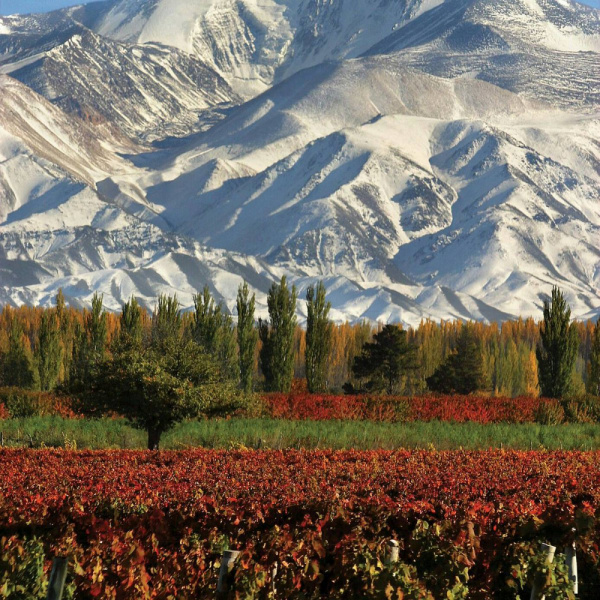 ¡Tu escapada de Semana Santa a Mendoza!